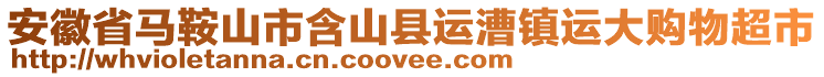 安徽省馬鞍山市含山縣運漕鎮(zhèn)運大購物超市