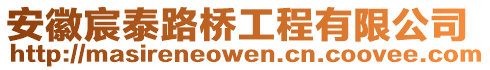 安徽宸泰路橋工程有限公司