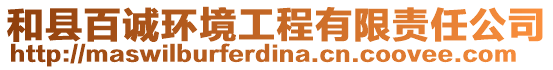 和縣百誠環(huán)境工程有限責(zé)任公司