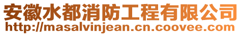 安徽水都消防工程有限公司