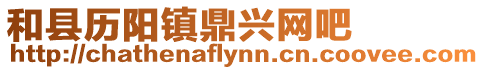 和縣歷陽鎮(zhèn)鼎興網(wǎng)吧