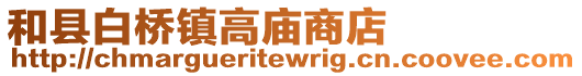 和縣白橋鎮(zhèn)高廟商店