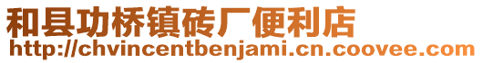 和县功桥镇砖厂便利店