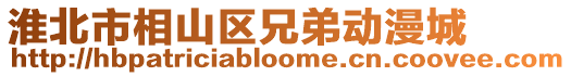 淮北市相山區(qū)兄弟動漫城