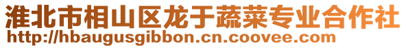 淮北市相山區(qū)龍于蔬菜專業(yè)合作社