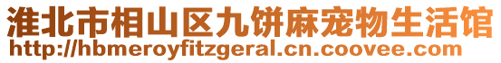 淮北市相山區(qū)九餅麻寵物生活館