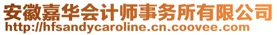 安徽嘉華會計師事務(wù)所有限公司