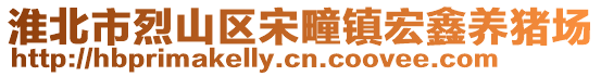 淮北市烈山區(qū)宋疃鎮(zhèn)宏鑫養(yǎng)豬場(chǎng)