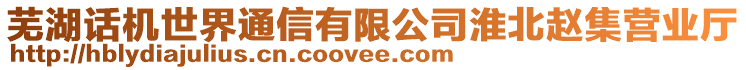 蕪湖話機(jī)世界通信有限公司淮北趙集營業(yè)廳