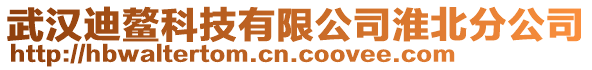 武漢迪鰲科技有限公司淮北分公司