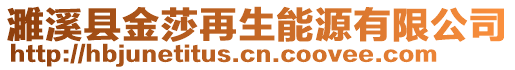 濉溪縣金莎再生能源有限公司