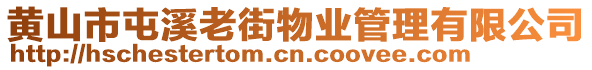 黃山市屯溪老街物業(yè)管理有限公司