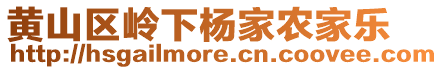 黃山區(qū)嶺下楊家農(nóng)家樂