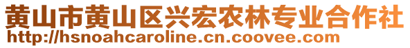 黃山市黃山區(qū)興宏農(nóng)林專業(yè)合作社