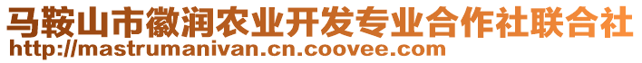 馬鞍山市徽潤(rùn)農(nóng)業(yè)開(kāi)發(fā)專業(yè)合作社聯(lián)合社