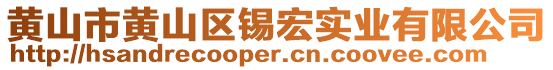 黃山市黃山區(qū)錫宏實(shí)業(yè)有限公司