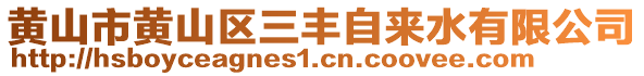 黃山市黃山區(qū)三豐自來水有限公司