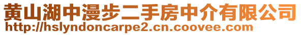 黃山湖中漫步二手房中介有限公司