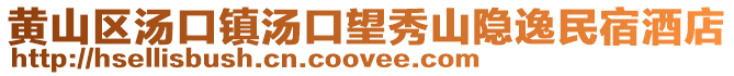 黃山區湯口鎮湯口望秀山隱逸民宿酒店
