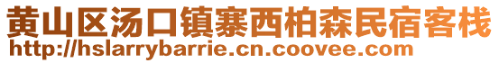 黃山區(qū)湯口鎮(zhèn)寨西柏森民宿客棧