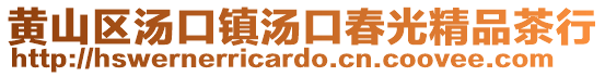 黃山區(qū)湯口鎮(zhèn)湯口春光精品茶行