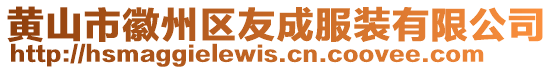 黃山市徽州區(qū)友成服裝有限公司