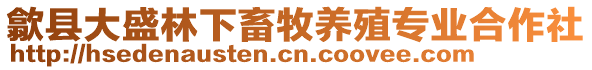 歙縣大盛林下畜牧養(yǎng)殖專業(yè)合作社