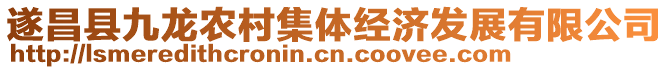 遂昌縣九龍農(nóng)村集體經(jīng)濟(jì)發(fā)展有限公司