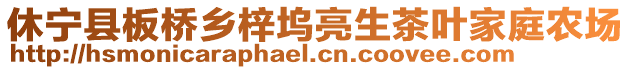 休寧縣板橋鄉(xiāng)梓塢亮生茶葉家庭農(nóng)場