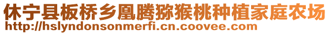 休寧縣板橋鄉(xiāng)凰騰獼猴桃種植家庭農(nóng)場(chǎng)