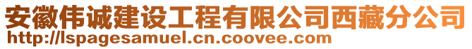 安徽偉誠建設(shè)工程有限公司西藏分公司