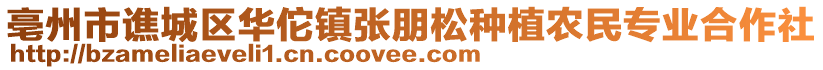 亳州市譙城區(qū)華佗鎮(zhèn)張朋松種植農(nóng)民專業(yè)合作社