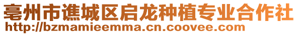 亳州市譙城區(qū)啟龍種植專業(yè)合作社