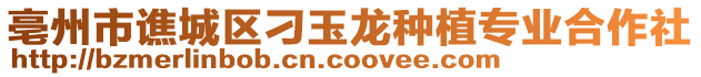 亳州市譙城區(qū)刁玉龍種植專業(yè)合作社