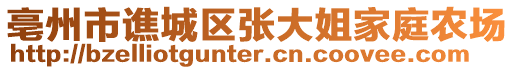 亳州市譙城區(qū)張大姐家庭農(nóng)場