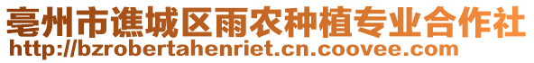 亳州市譙城區(qū)雨農(nóng)種植專業(yè)合作社