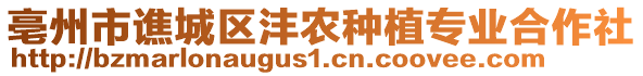 亳州市譙城區(qū)灃農(nóng)種植專業(yè)合作社