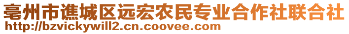 亳州市譙城區(qū)遠(yuǎn)宏農(nóng)民專業(yè)合作社聯(lián)合社