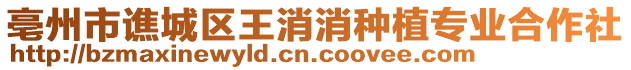 亳州市譙城區王消消種植專業合作社