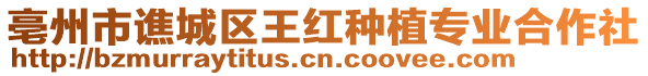 亳州市譙城區(qū)王紅種植專業(yè)合作社