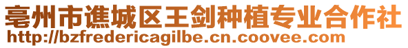 亳州市譙城區王劍種植專業合作社