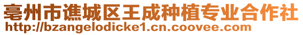 亳州市譙城區王成種植專業合作社