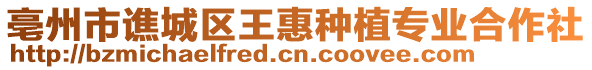 亳州市譙城區(qū)王惠種植專業(yè)合作社