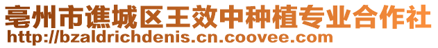 亳州市譙城區王效中種植專業合作社