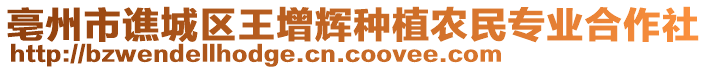 亳州市譙城區(qū)王增輝種植農(nóng)民專業(yè)合作社