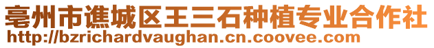 亳州市譙城區(qū)王三石種植專業(yè)合作社
