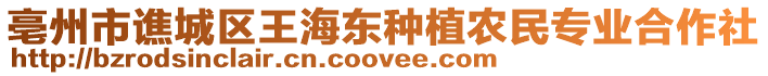 亳州市譙城區(qū)王海東種植農(nóng)民專業(yè)合作社