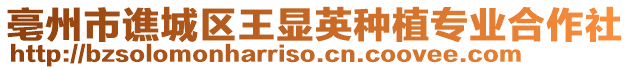 亳州市譙城區王顯英種植專業合作社