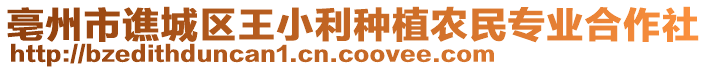 亳州市譙城區(qū)王小利種植農(nóng)民專業(yè)合作社