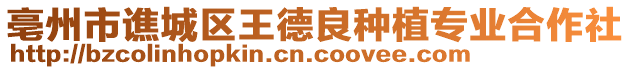 亳州市譙城區王德良種植專業合作社